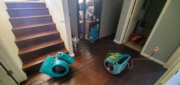 Best Residential water damage restoration  in Avon, CO