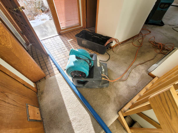 Trusted Avon, CO Water damage restoration Experts