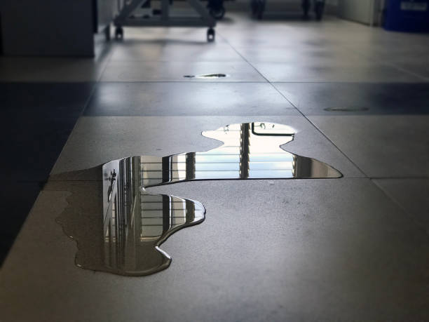 Best Water damage restoration near me  in Avon, CO
