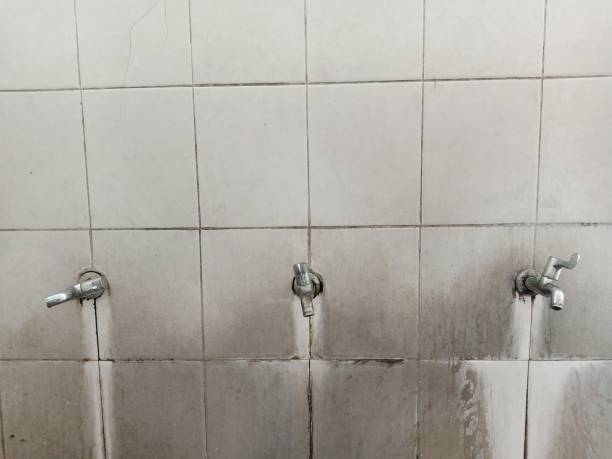 Best Emergency water damage restoration  in Avon, CO
