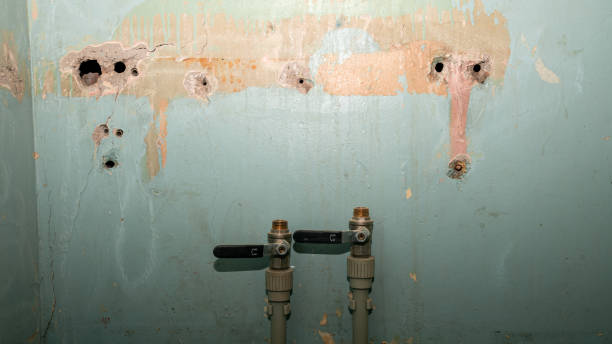 Best 24-hour water damage restoration  in Avon, CO